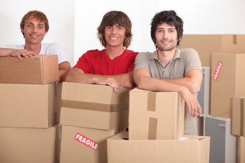 Eco-friendly removal practices in Brixton