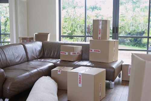 Eco-friendly moving practices in Plumstead